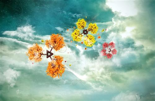 3D Flowers in Sky Wallpaper