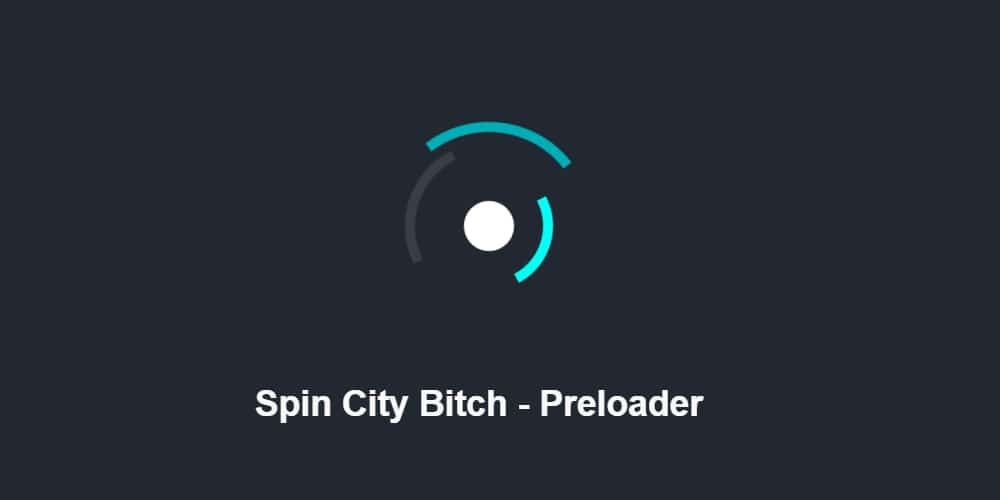 Spin City Bitch Preloader