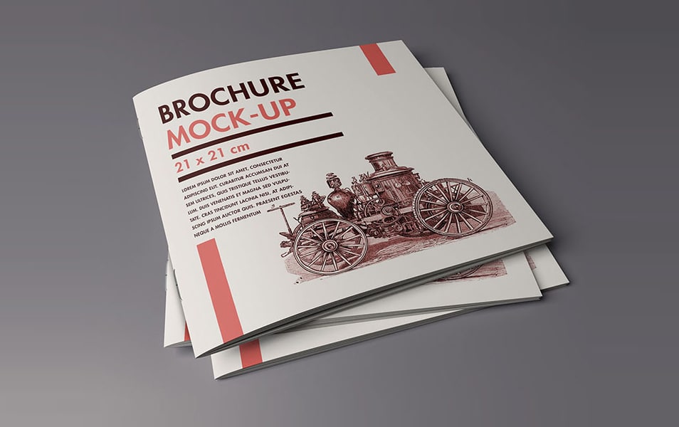 Folder and Brochure Mockup