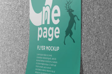 Single Page Flyer Mockup